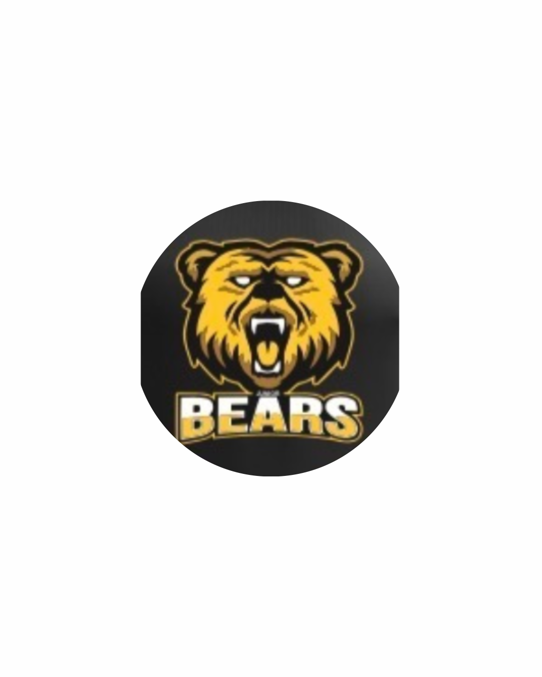 Js Bears Junior Bears Team Store (*Please let us know players birth years in sp ...
